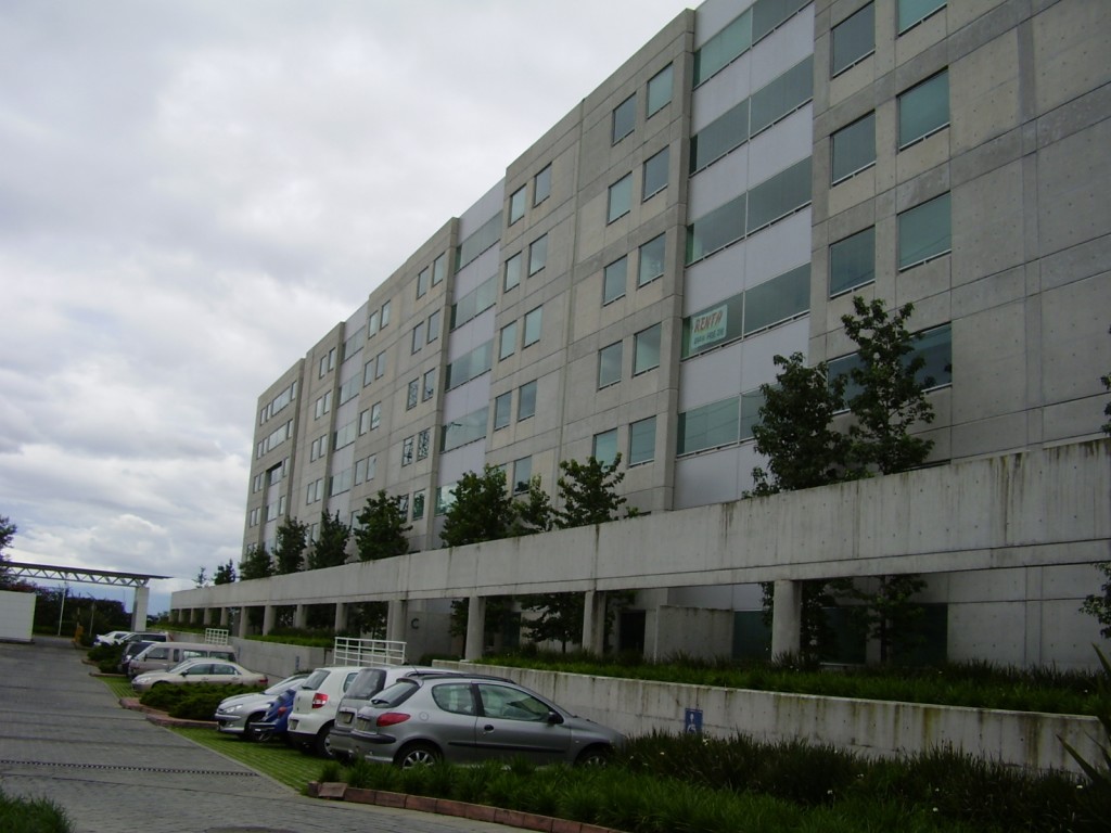 olivardelsur 015