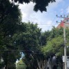 thumbnail_IMG_2433