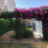 thumbnail_IMG_0549