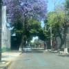 IMG-20240325-WA0017